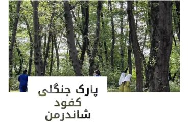 پویش پاکسازی پارک جنگلی کفود شاندرمن برگزار شد