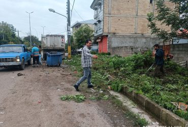 پاکسازی و هرس علف های هرز خیابان ولیعصر عج