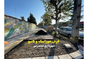 اجرای فرش موزاییک و‌ کانیو در بلوار ولی عصر عج